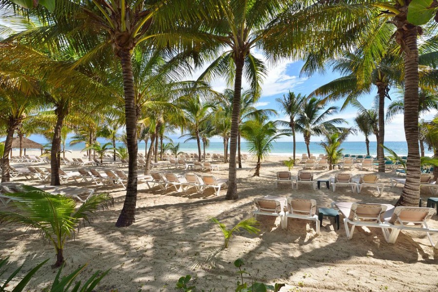 Catalonia Playa Maroma 5*